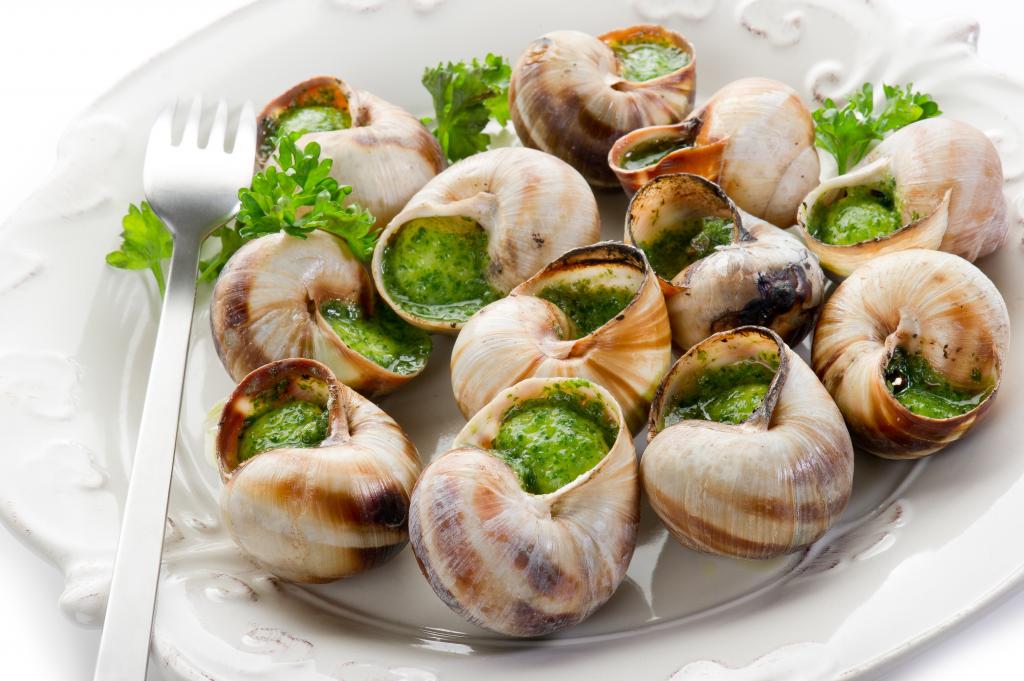 Escargot De Bourgogne "belle Grosseur" - Novoviande